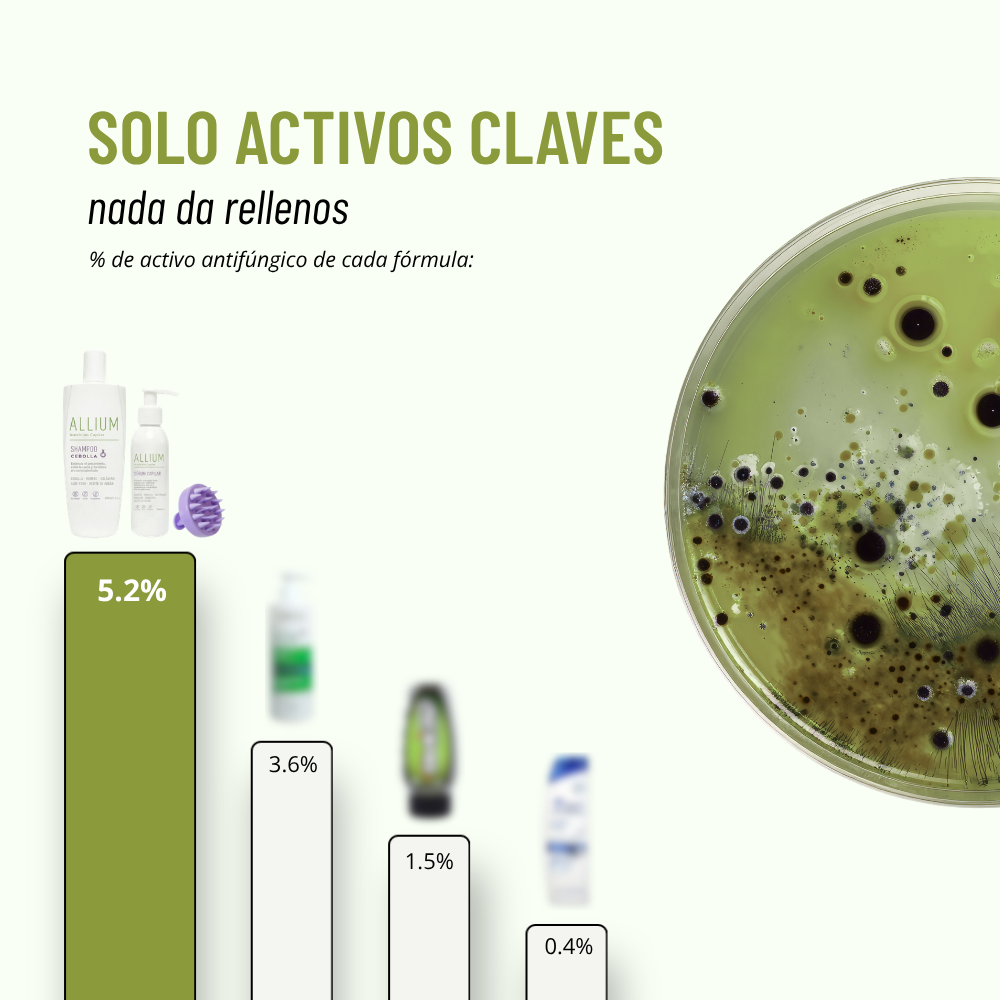 Kit Bio-caspa